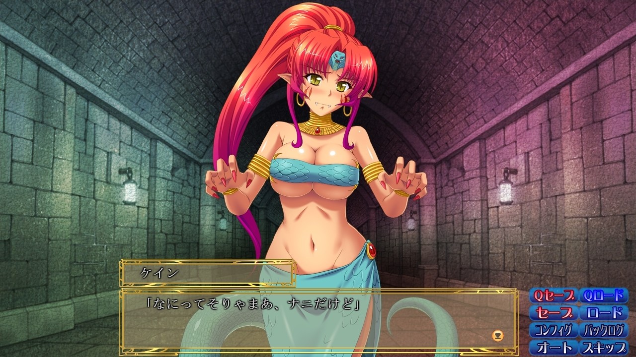 드래곤즈 레이드 3 드래곤 메이드와 공주의 귀환