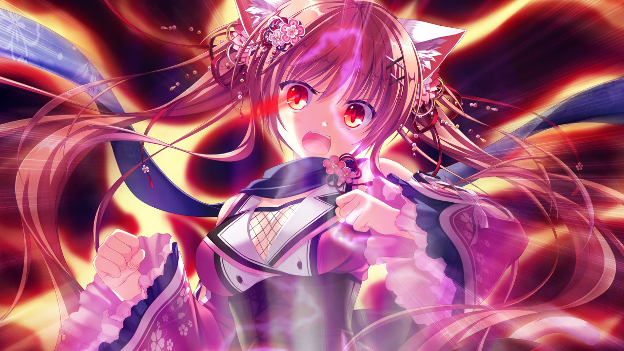 네코닌 에쿠스하트