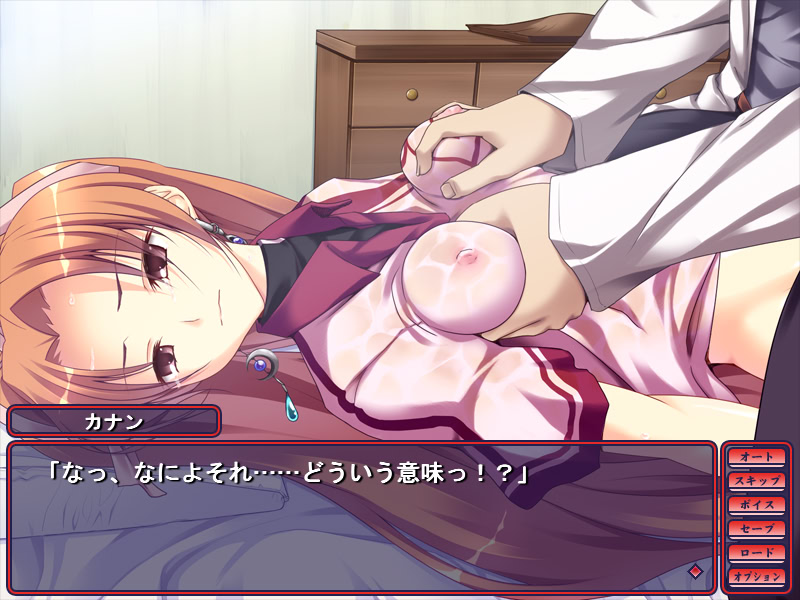 이카세야 헤이지 ~성간 마사지고쿠~