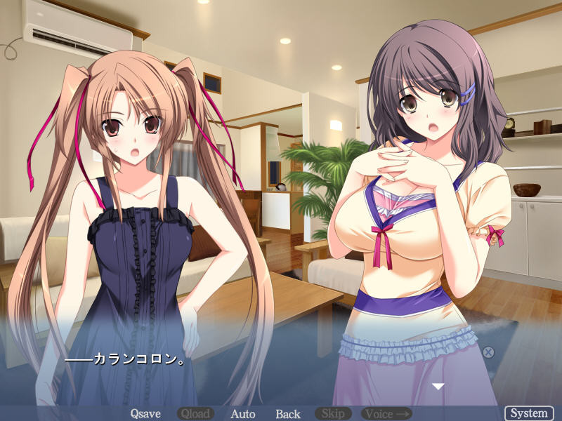 하라하라시쨔우! ～부모님껜 비밀인 아이 만들기 성활～ －아사기리 자매 편－