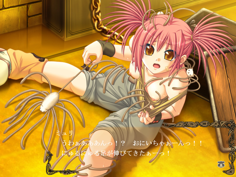 미네부카키 세니 타유타우 우타