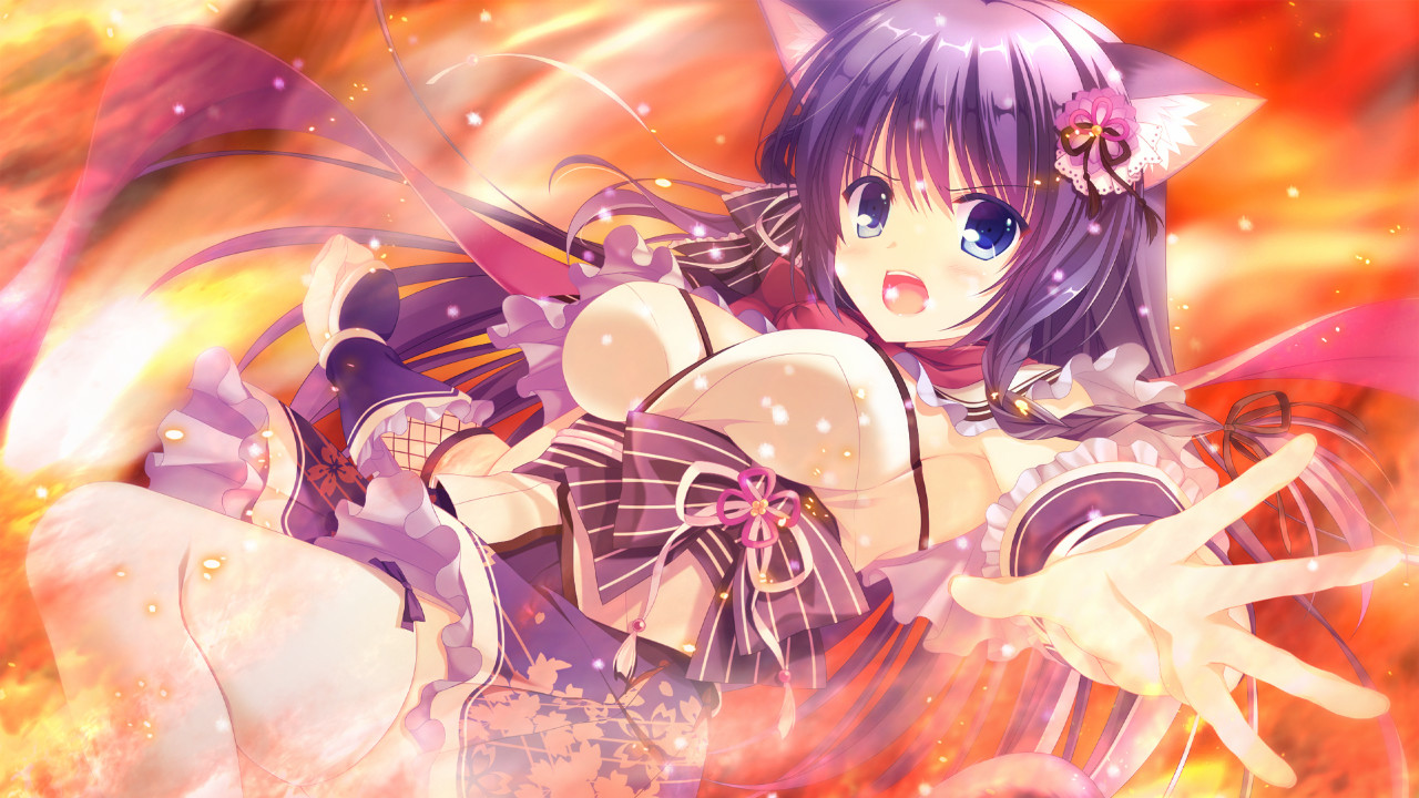 네코닌 에쿠스하트