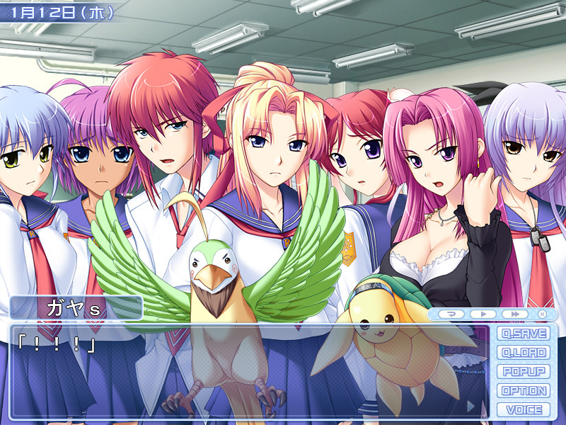 츠요키스 3학기