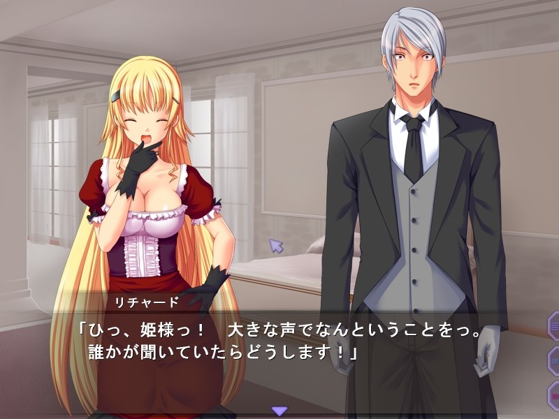 프린세스 울티마～치녀와 저주의 반지～