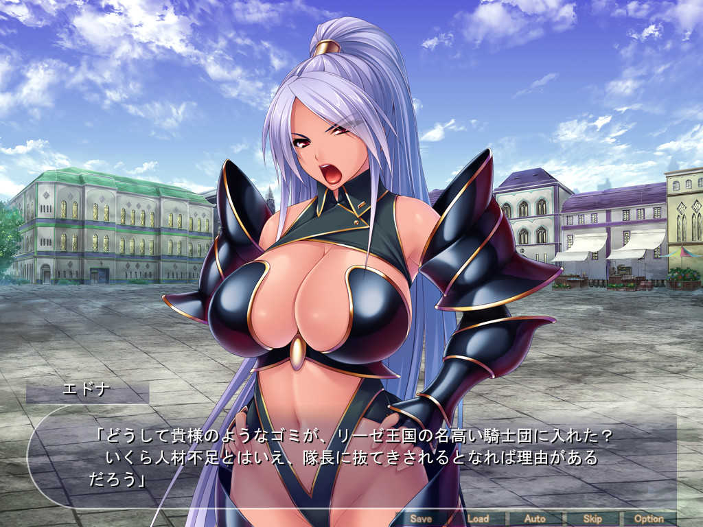 최강의 임신 오나홀 기사단 ～강한 암컷은 거근을 이길 수 없다! 야하고 심한 짓을 해도 기뻐하는 절대충성 아헤가오 하렘을 구축해라!～