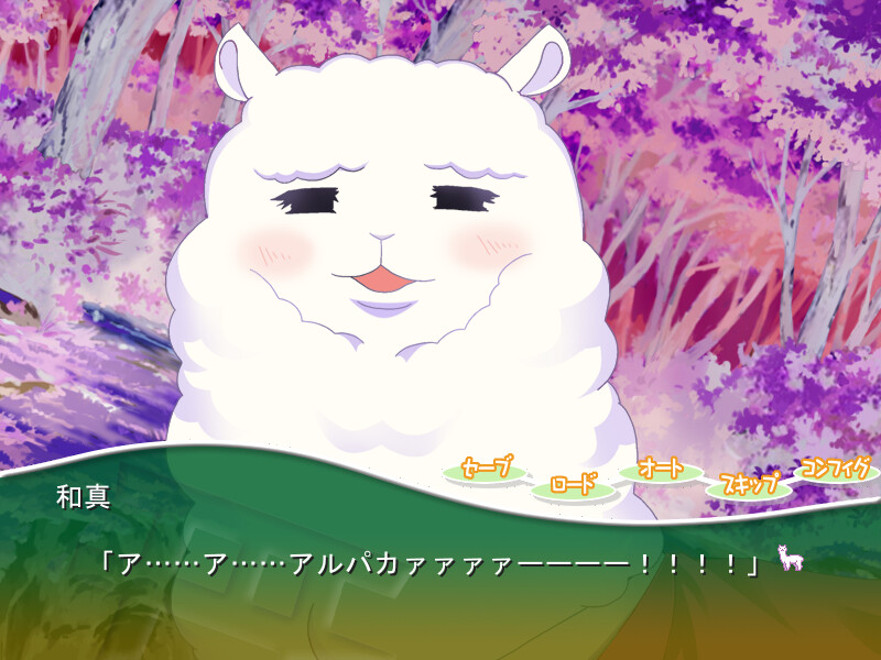 파카플러스플러스