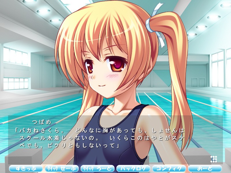 츤데레 트윈즈 수영부～어른의 레슨을 해주세요～