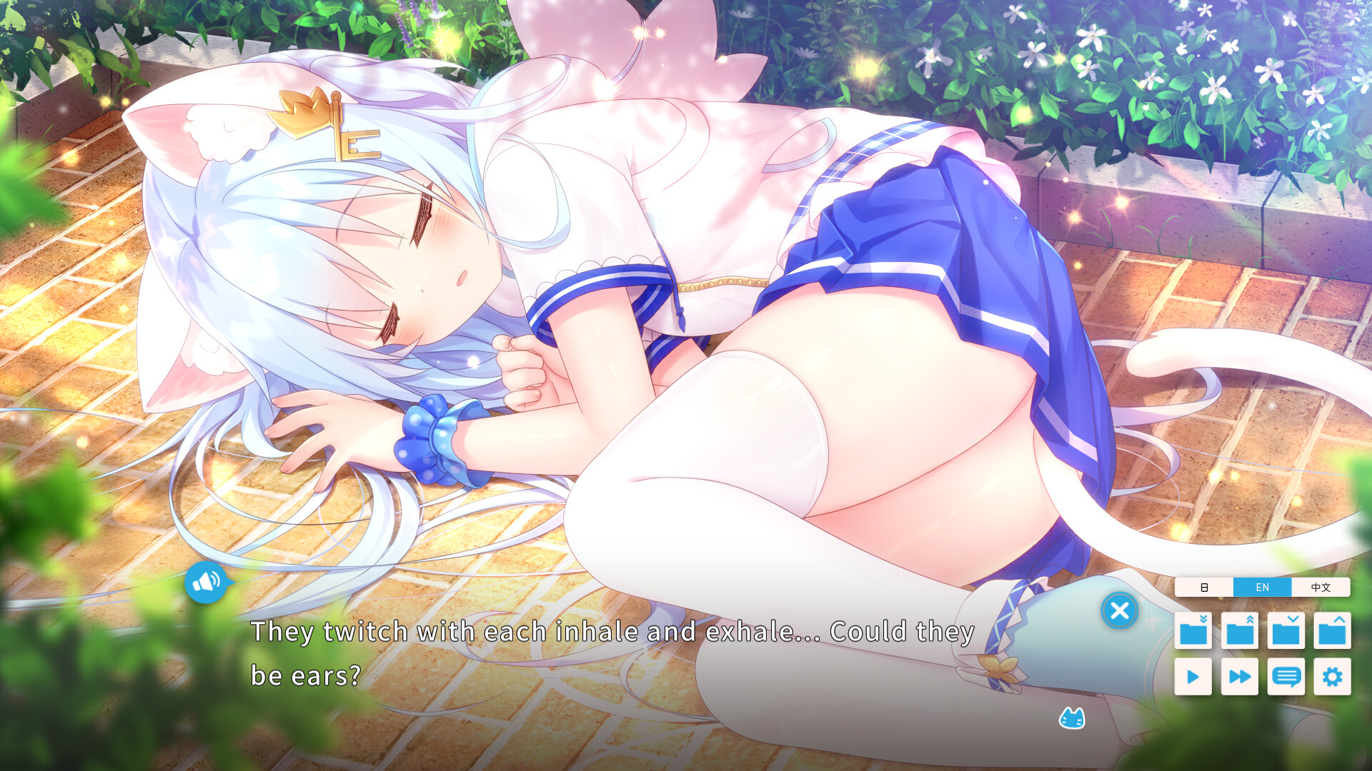 우리 집 펫 사정 Vol.1