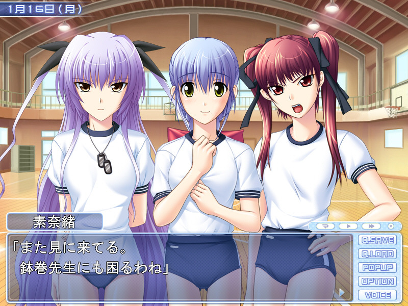 츠요키스 3학기