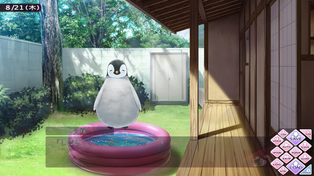 아네요메 콘체르토