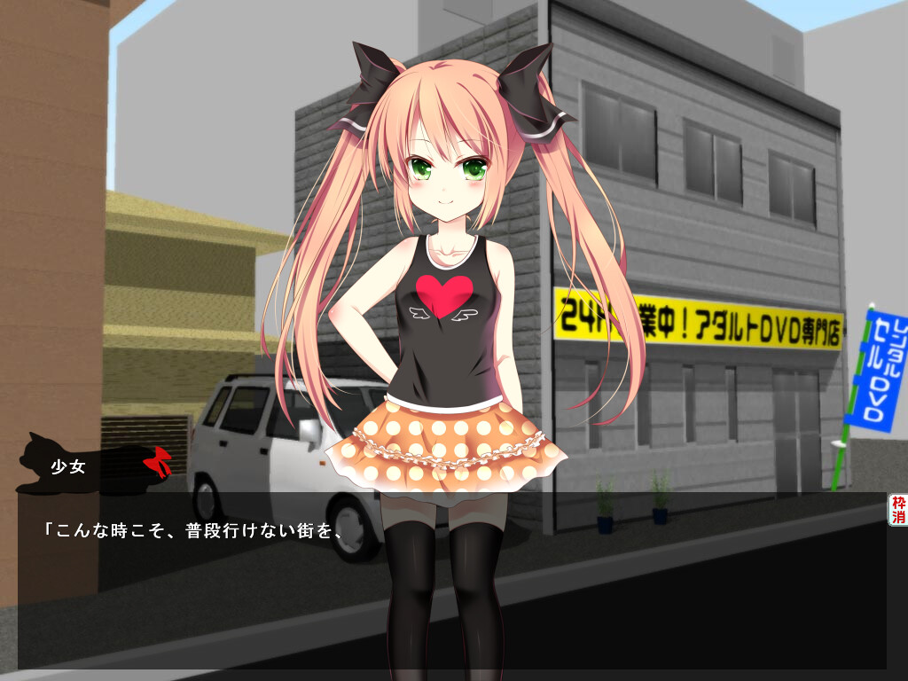 성인 DVD 코너를 보던 로리 소녀에게 장난