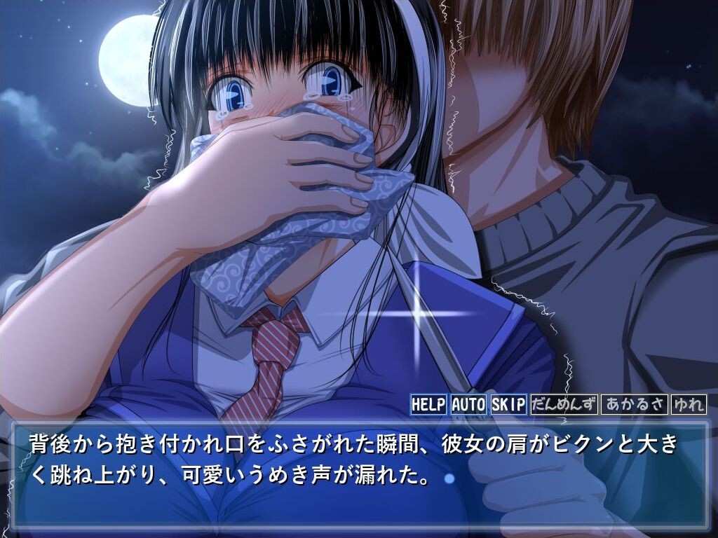 공상성범계획「료코」 ～여고생 하교 중 스토커 강간 사건～