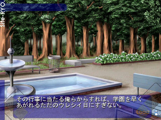 비 갠 뒤의 고양이들에게