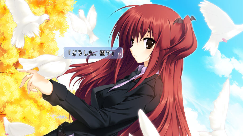 네코나데 디스토션