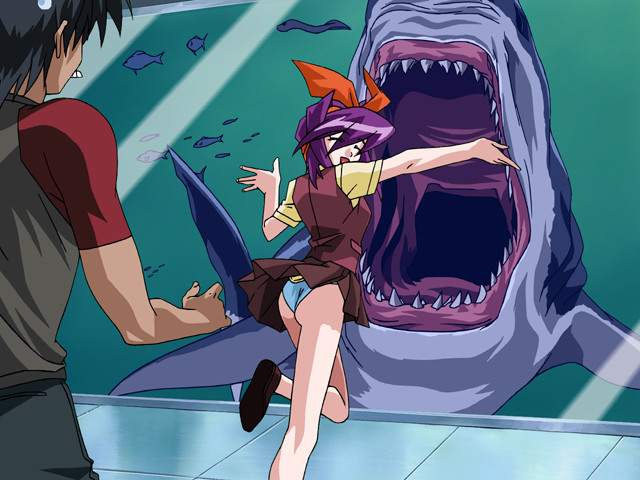 중장황녀 메탈 프린세스