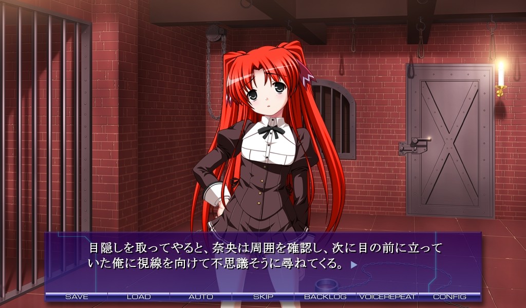 커스텀 레이드V