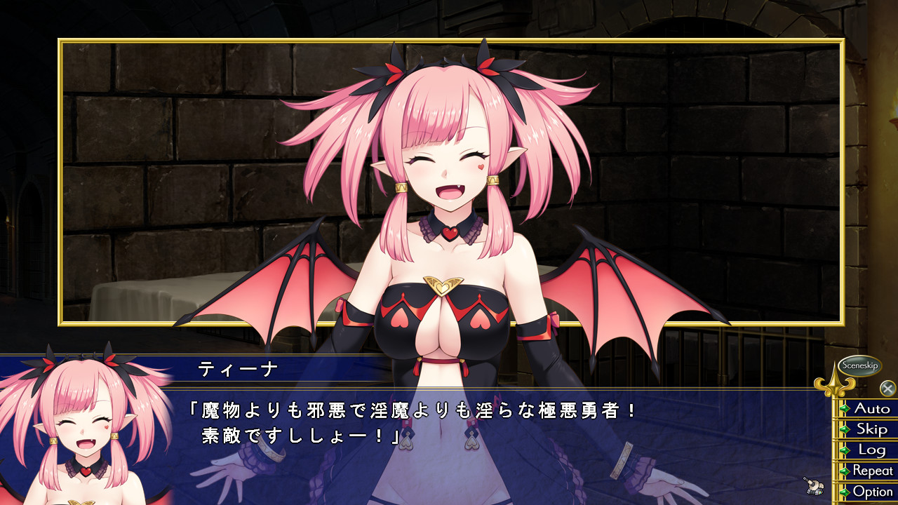 그 고성에는 용사포가 있다!