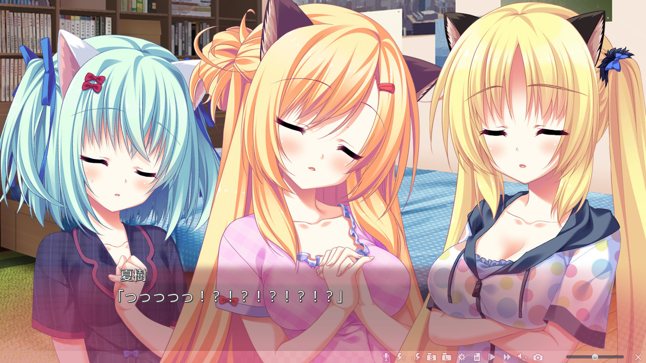 냥하고 멋진 여름빛 Days