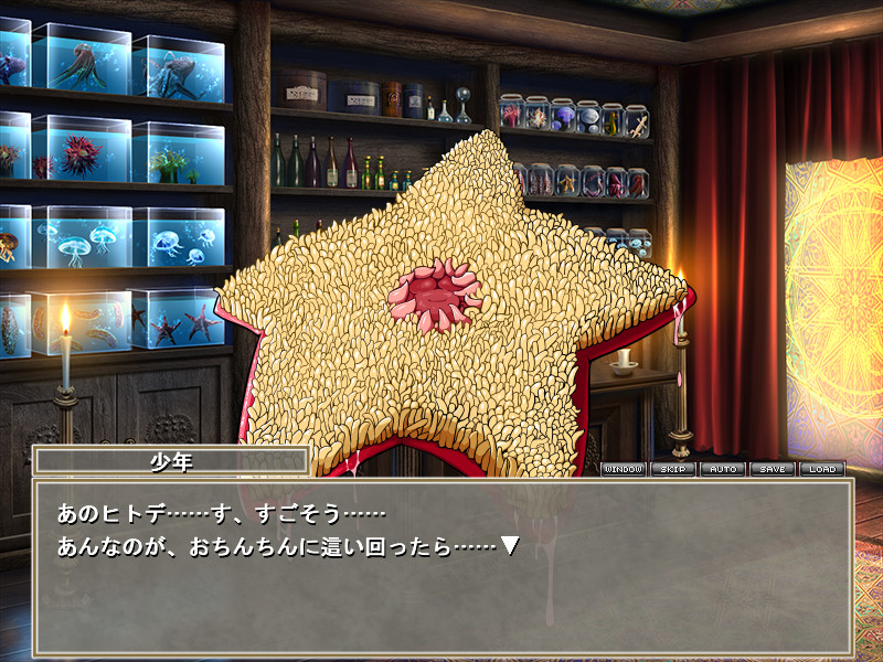 오토코노코를 위한 촉수도감