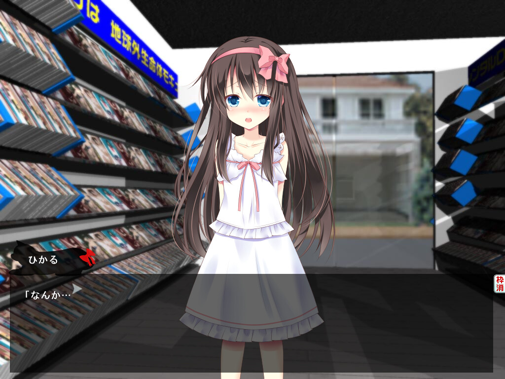 성인 DVD 코너를 보던 로리 소녀에게 장난