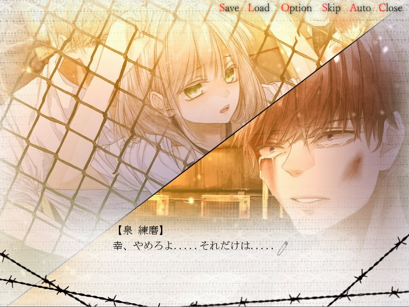 너인가 아오이로。