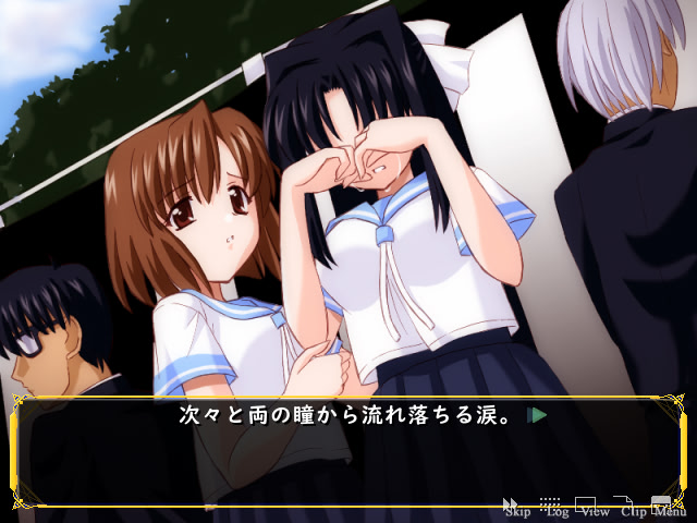 나츠코이 ～The love story in summer～