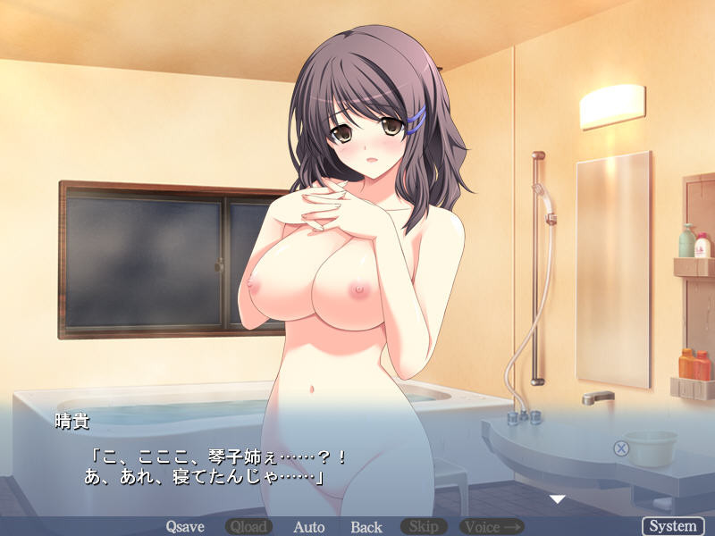 하라하라시쨔우! ～부모님껜 비밀인 아이 만들기 성활～ －아사기리 자매 편－