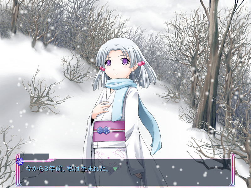 사쿠라는 아직인가요