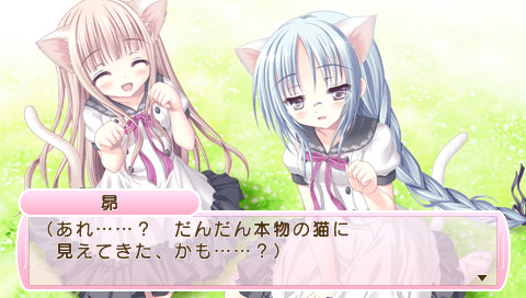 로큐브! 비밀의 분실물