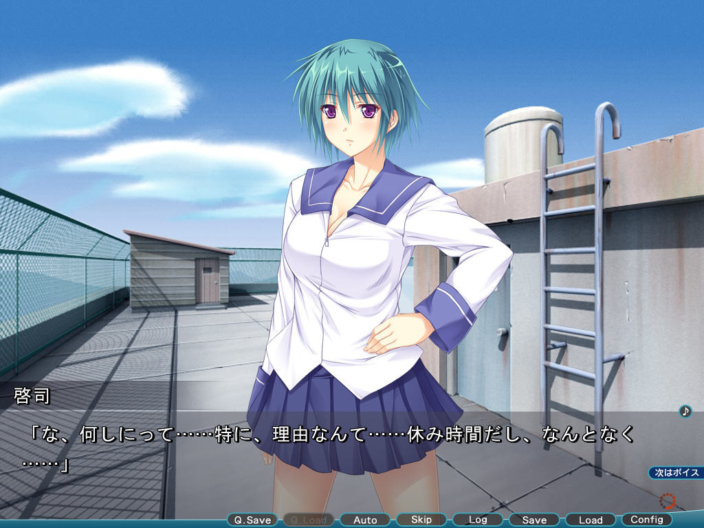 가・상・침・식～Virtual Hack Online～