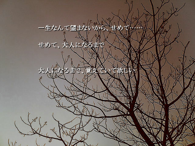 LOSTPEACE～잃어버린 조각들～