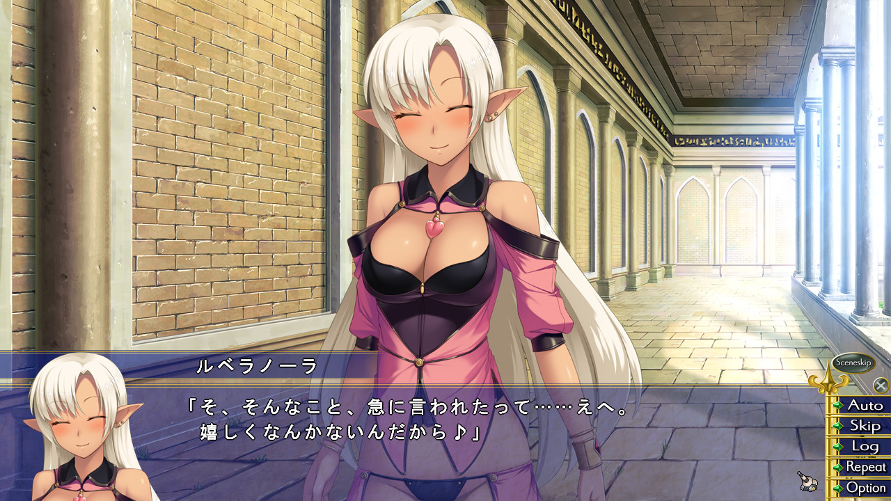 그 고성에는 용사포가 있다!