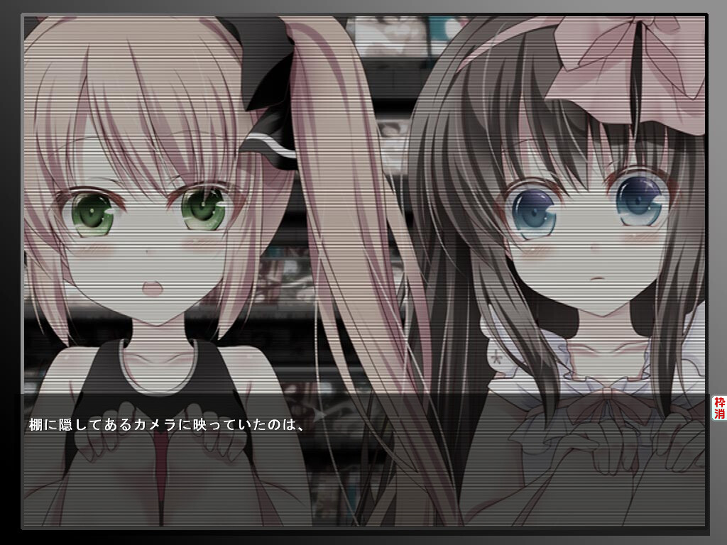 성인 DVD 코너를 보던 로리 소녀에게 장난