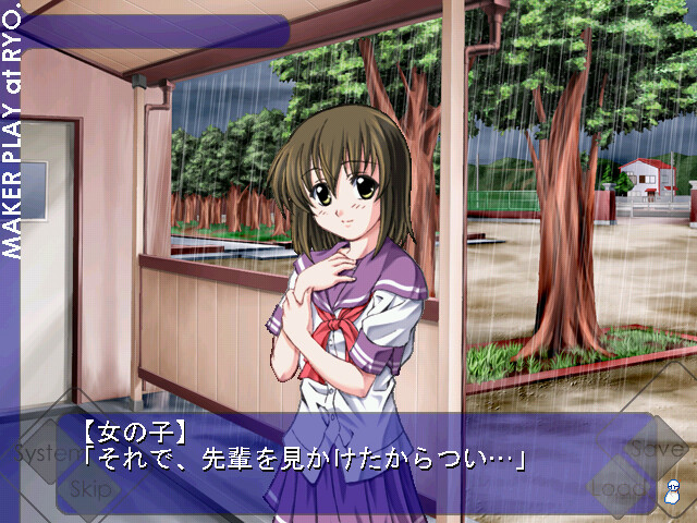 비 갠 뒤의 고양이들에게