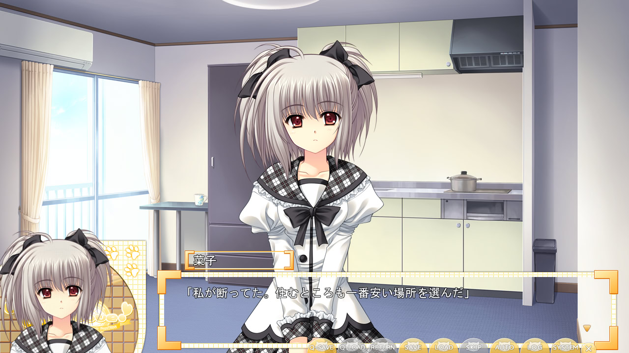 World Wide Love! 세카이 세이후쿠 카노조 팬 디스크