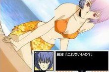 신세기 에반게리온 아야나미 육성계획