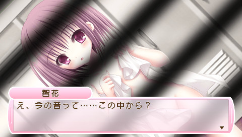 로큐브! 비밀의 분실물