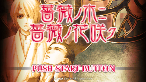 장미 나무에 장미 꽃 피고