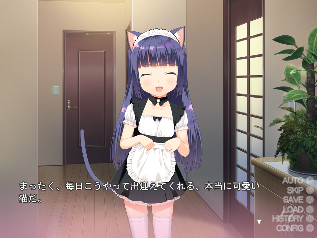 아기 고양이와 가족계획