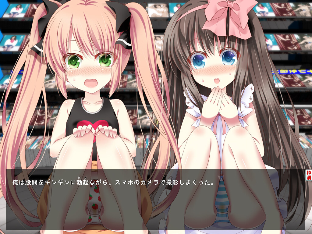 성인 DVD 코너를 보던 로리 소녀에게 장난