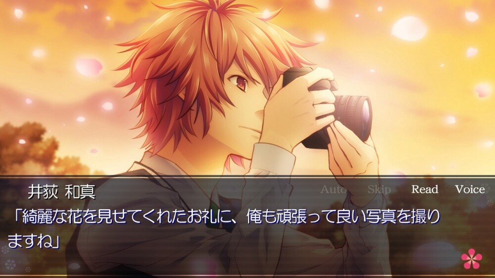 사랑의 꽃이 피는 백화원