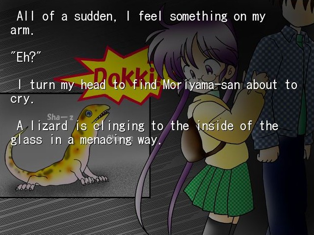 별이 내리는 언덕