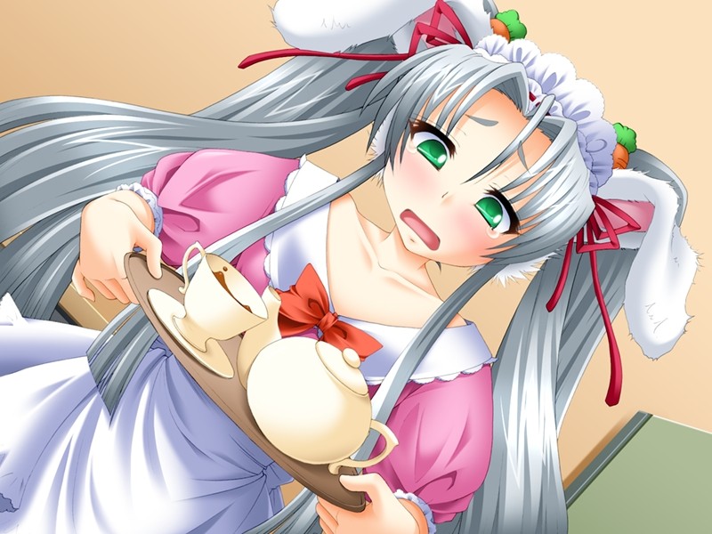 멍멍, 음메음메, 토끼토끼, 콩!