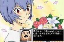 신세기 에반게리온 아야나미 육성계획