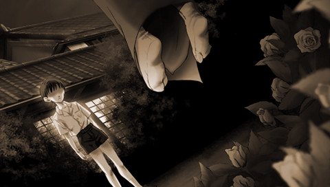 장미 나무에 장미 꽃 피고