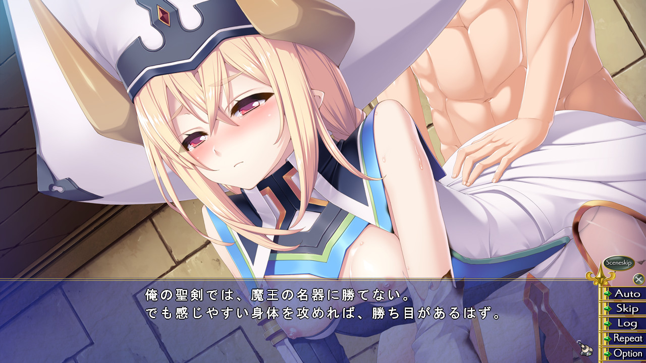 그 고성에는 용사포가 있다!