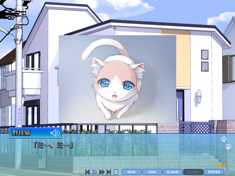 소원을 이루고 싶어서