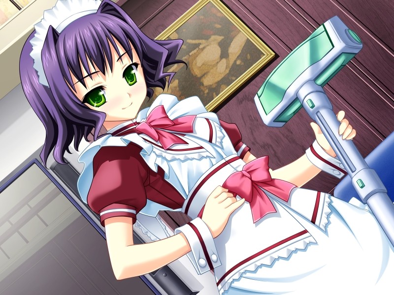 메이디! ～주인님은 동급생～