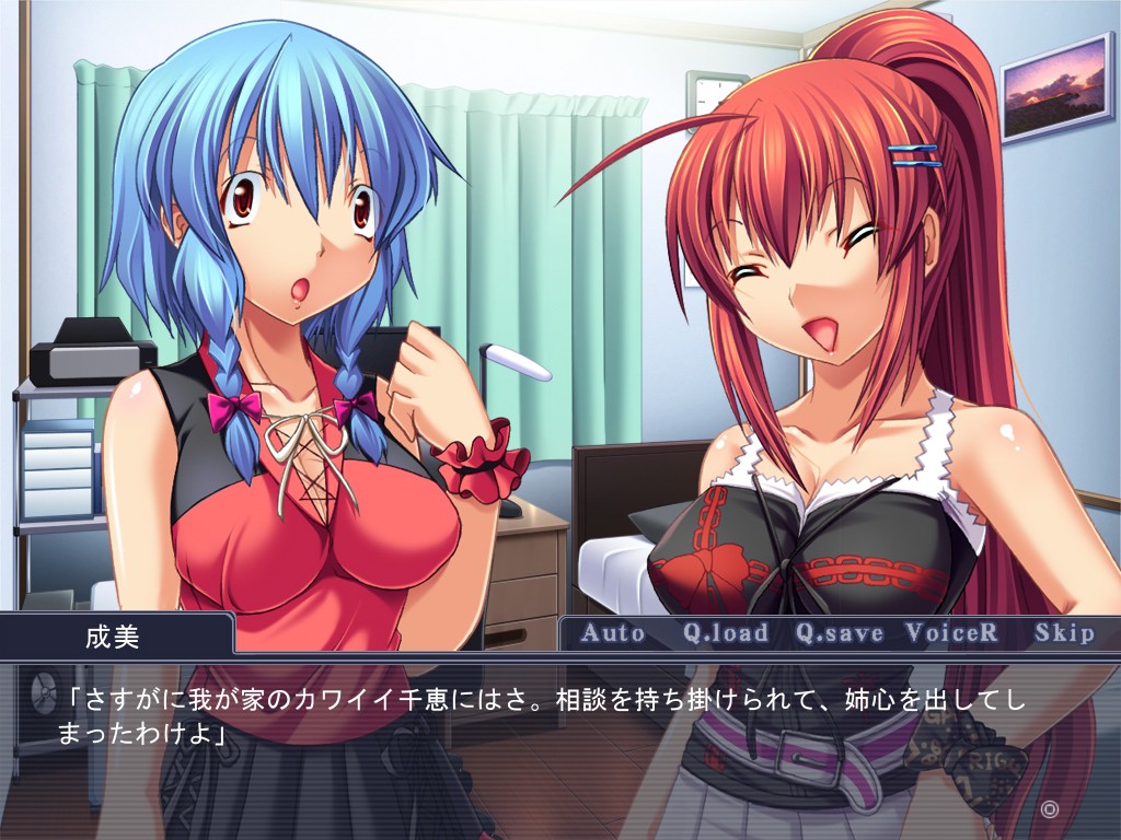 핑크・시스터즈～털털한 줄 알았는데 사실은 순진한 언니와, 오빠를 너무 좋아하는 여동생～