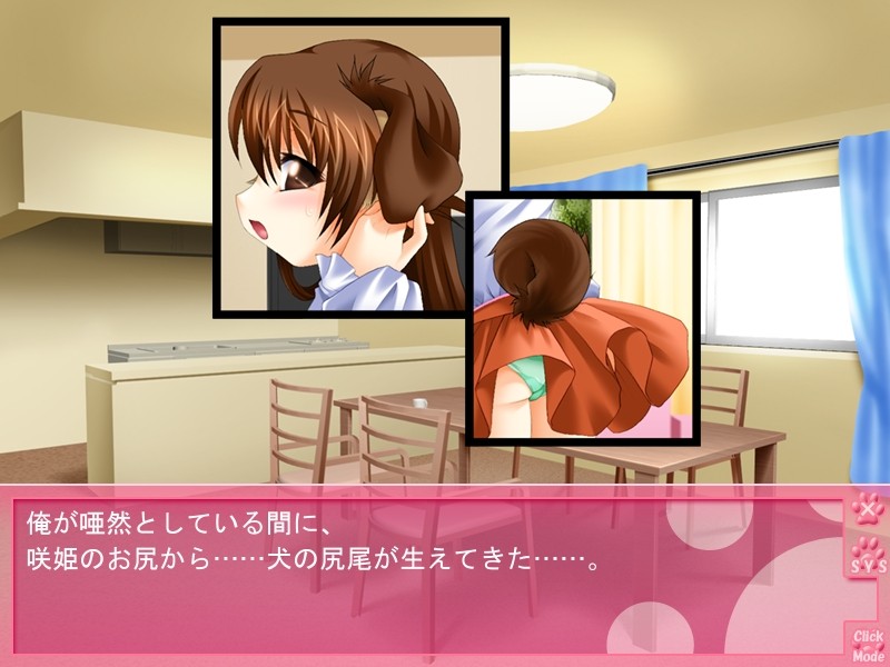 멍멍, 음메음메, 토끼토끼, 콩!